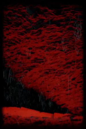 A Fold in Space's poster