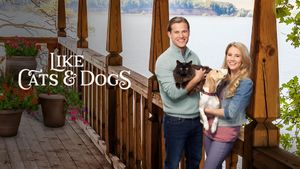 Like Cats & Dogs's poster