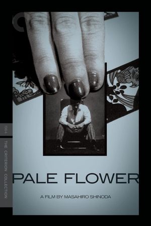 Pale Flower's poster