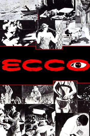 Ecco's poster