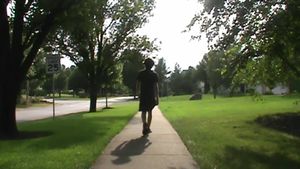 walk's poster