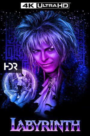 Labyrinth's poster
