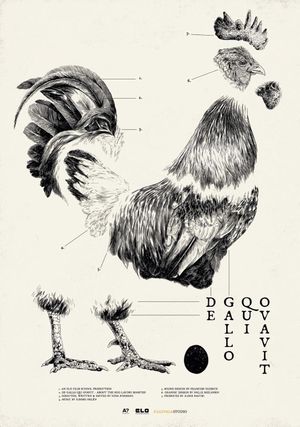 De Gallo Qui Ovavit's poster