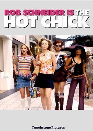 The Hot Chick's poster
