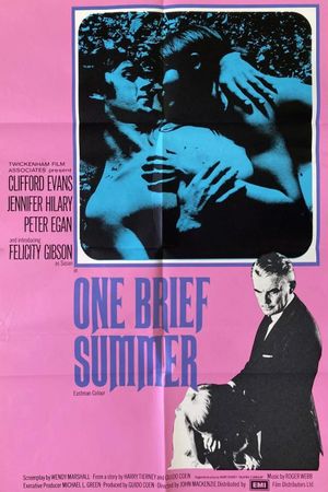One Brief Summer's poster