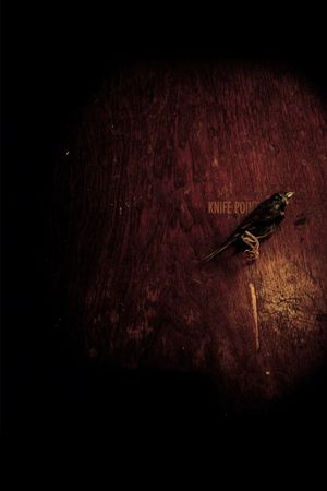 Knife Point's poster