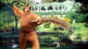 Beverly Hills Ninja's poster