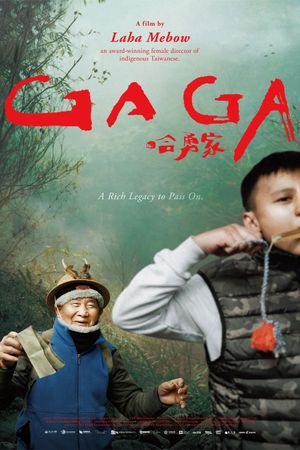 Gaga's poster