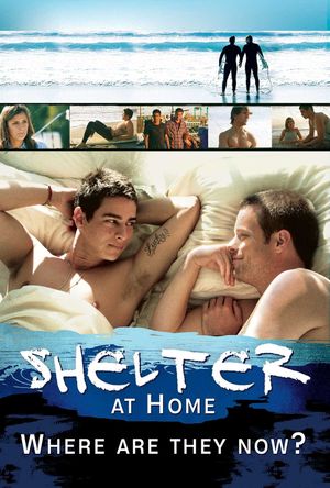 Shelter at Home: Where Are They Now?'s poster