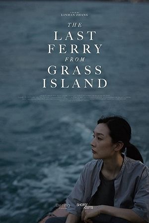 The Last Ferry from Grass Island's poster