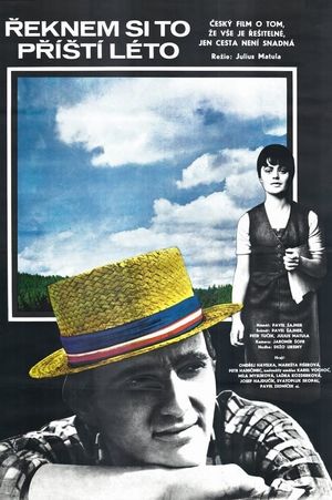 Reknem si to prístí léto's poster