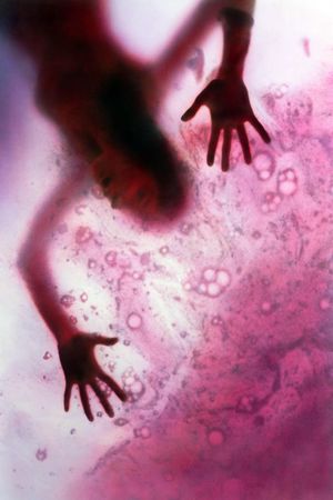 The Blob's poster