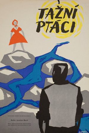 Tazní ptáci's poster