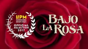 Bajo la Rosa's poster