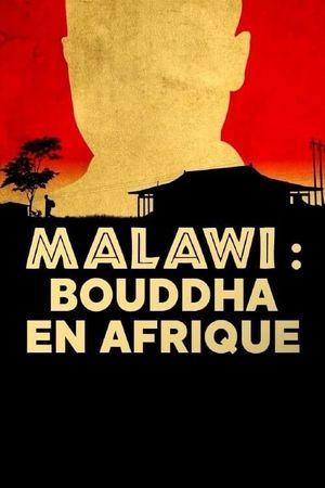 Buddha in Africa's poster