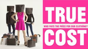The True Cost's poster