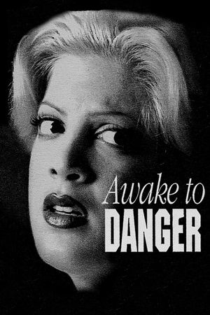Awake to Danger's poster