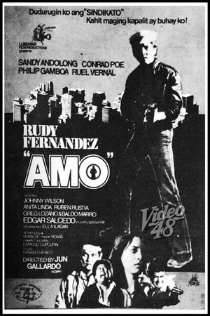 Amo's poster