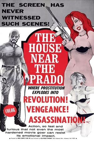 The House Near the Prado's poster