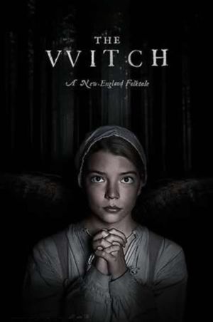 The Witch's poster