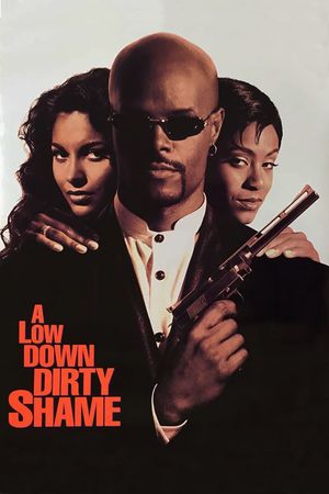A Low Down Dirty Shame's poster image