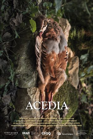 Acedia's poster