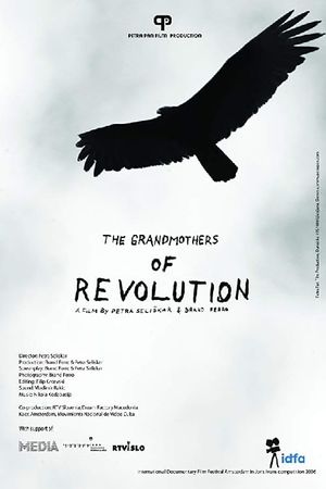 Grandmothers of Revolution's poster