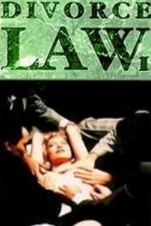 Divorce Law's poster