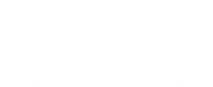 Shadow Land's poster