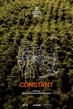 Constant's poster image