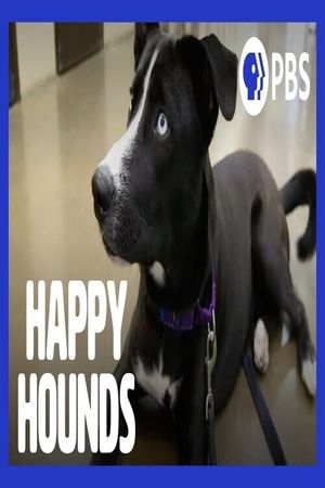 Happy Hounds's poster image