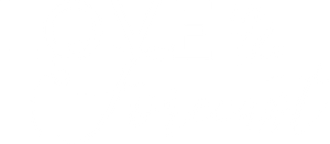 Love in the Forecast's poster