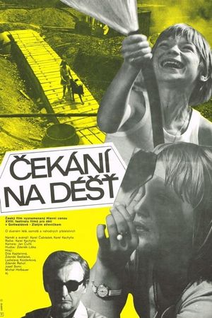 Cekání na dést's poster