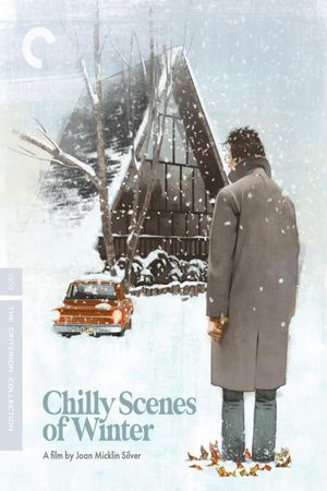 Chilly Scenes of Winter's poster