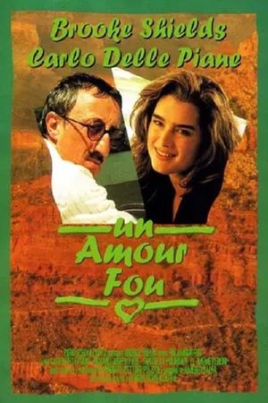 An American Love's poster