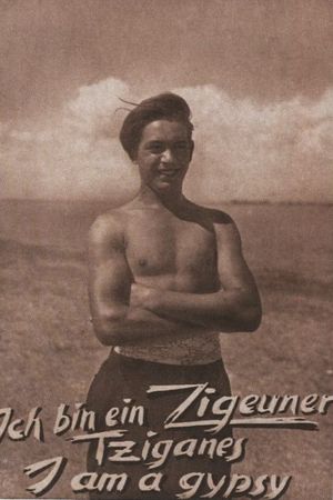 Ich bin ein Zigeuner's poster