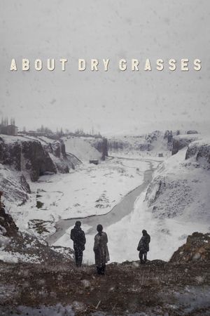 About Dry Grasses's poster