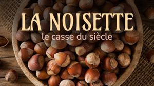 La noisette : le casse du siècle's poster