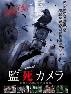 Paranormal Surveillance Camera's poster
