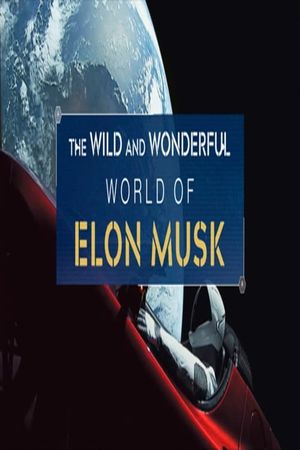 The Wild and Wonderful World of Elon Musk's poster