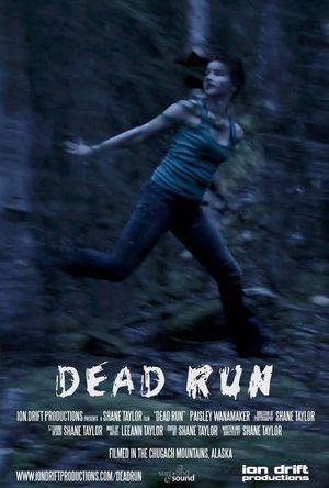 Dead Run's poster