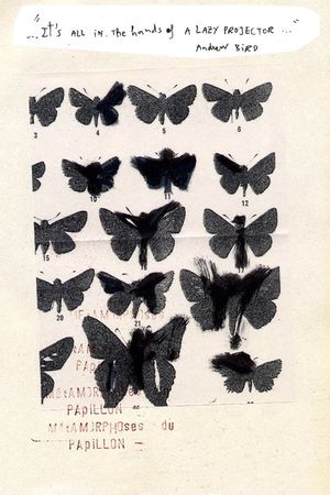 Métamorphoses du Papillon's poster