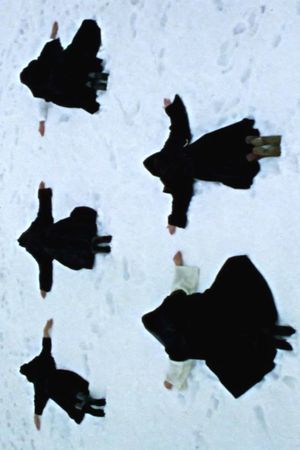 Les filles du roy's poster