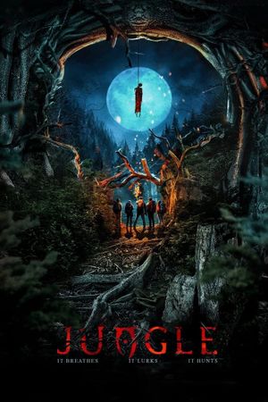 Jungle's poster