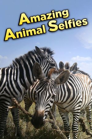 Amazing Animal Selfies's poster