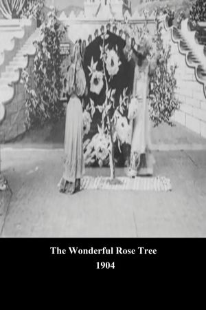 The Wonderful Rose Tree's poster