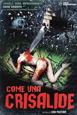 Symphony in Blood Red's poster