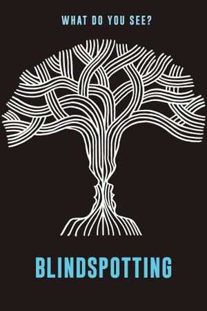 Blindspotting's poster