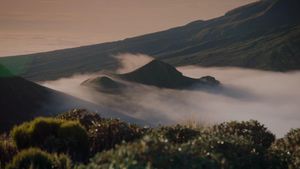 The Mountain's poster