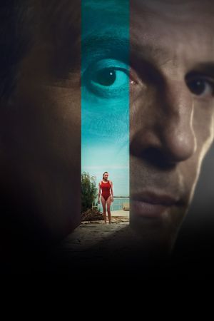 Visions's poster